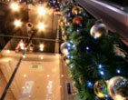 Christmas Wallpapers 139
